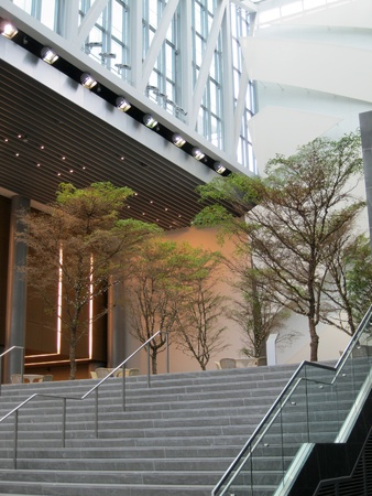 Charlotte, NC - December 30, 2011 - Urban garden