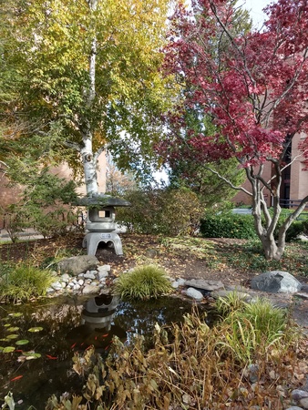 Japanese garden
