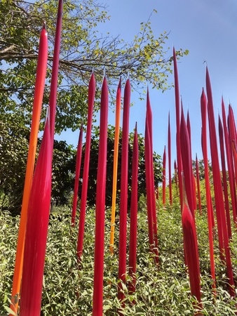Editorial - July 21, 2018 -  Chihuly exhibit at the Biltmore Estate, NCのeditorial素材