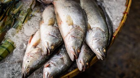 Fish on ice waiting to be sold in an asian streetmarketの写真素材