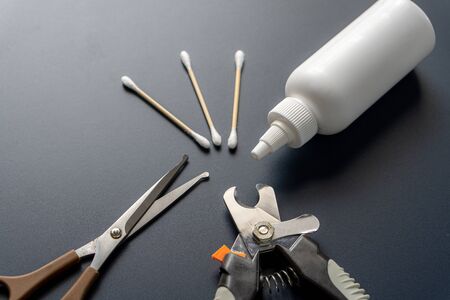 Basic tools for dogs, cats or other pets grooming.