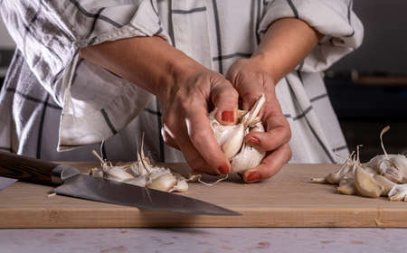 Close up of woman hands with orange nail polish peeling and preparing many garlic bulbs.の写真素材