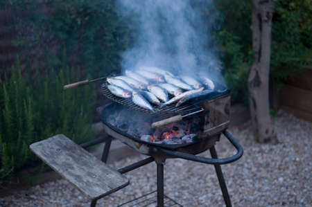 Delicious barbecue with sardines celebrating Saint JohnÂ´s Day on a backyard. Traditional spanish gastronomyの写真素材