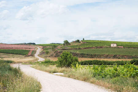 Beautiful landscape around the Camino Way in springtime. La Rioja, Spain, Europe