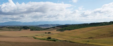 Beautiful landscape of La Rioja, Spain, in springtime. Crop flields, forest and mountains in the background. Spainの写真素材