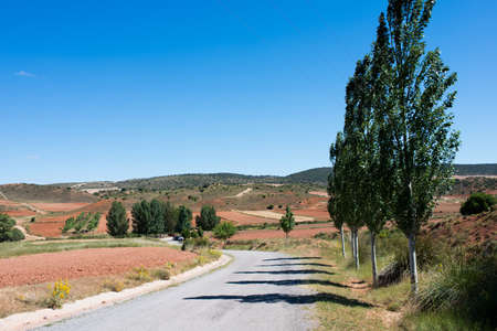 Summer landscape near Teruel. Re fields with crops, a road to the mountains and trees along the road. No people. Aragon, Spain, Europe.の写真素材