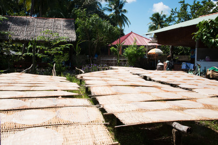 Production of rice noodles. Rice wraps drying under the sun. Vietnam. Asiaの写真素材
