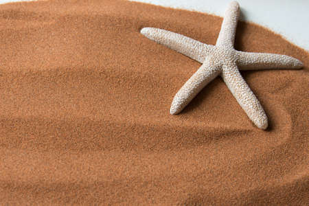 Background with copy space, beach sand and a starfish. Vacationの写真素材