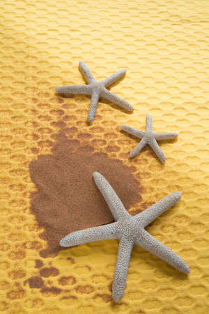 Vertical shot of three starfish and sand from a beach on a yellow background. Copy space.の写真素材
