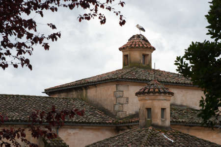 Ancient building with a black and white stork on the roof. Caceresの写真素材