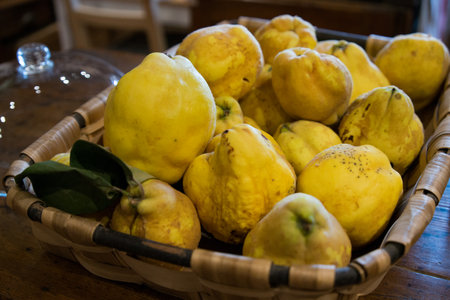Basket full of yellow quinces. Spainの写真素材