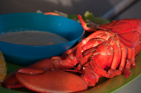 Fresh maine lobster with salad and cream. USAの写真素材