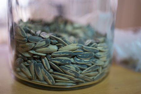 Sunflower seeds in a glass jar. Home interiorの写真素材