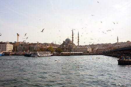 Istanbul skyline near Galata bridge. View from a ship. Flying seagulls at dusk, calm water. Turkeyの写真素材