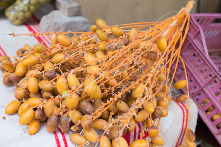 Delicious dates of phoenix dactylifera. Tunisia, Africa