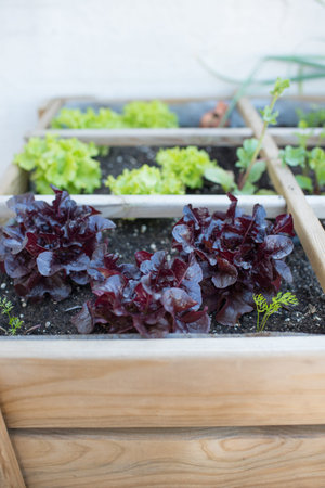 Growing tables allow the creation of gardens on terraces, balconies and rooftops, stimulating the...