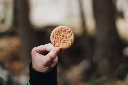 AlmerÃ­a, Spain - November 15, 2009: Galletas MarÃ­a, a brand of typical cookies from a well-known brand in Spain that was part of many households until a few years ago.のeditorial素材