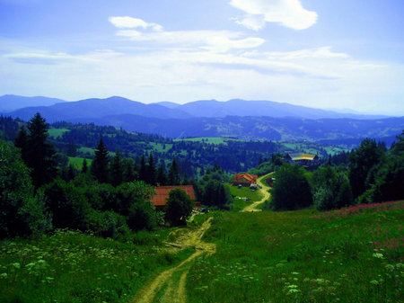  Beautiful green field and blue mountainsの写真素材