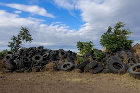 old car tires public dumpの写真素材