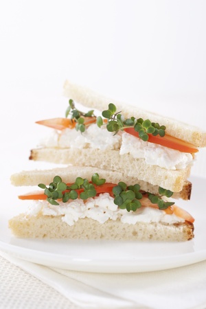 Vegetarian sandwiches with cottage cheese, tomatoes and mustard sproutsの写真素材