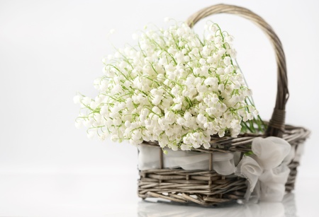 Basket with lilies of the valley on white background の写真素材