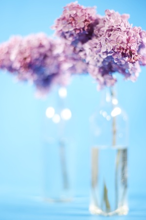 Bouquet of violet lilac in a vase on blue backgroundの写真素材