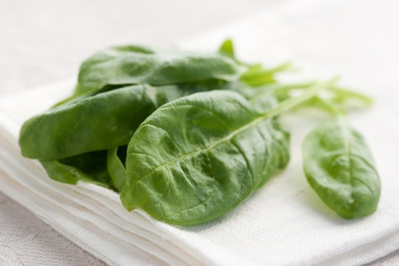 Fresh spinach on white background の写真素材