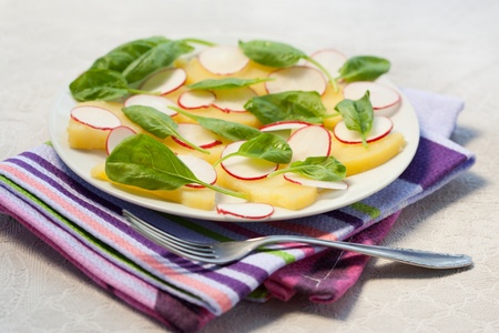 Radish and potato salad with spinach in a plateの写真素材