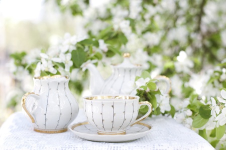 Romantic tea in the blossoming gardenの写真素材