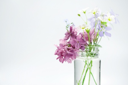 Beautiful spring flowers in a vase の写真素材