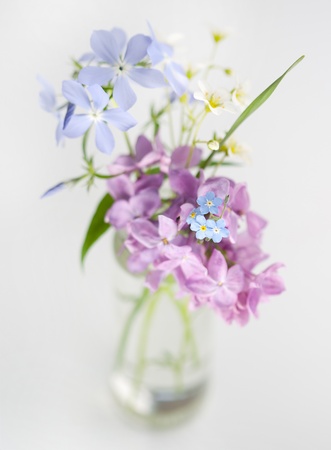 Beautiful spring flowers in a vase の写真素材