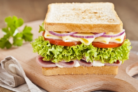 Tasty ham sandwich with cheese, tomatoes, onions and lettuce の写真素材