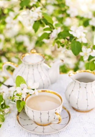 English tea in spring gardenの写真素材