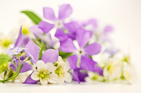 Bouquet of spring flowers on a white backgroundの写真素材