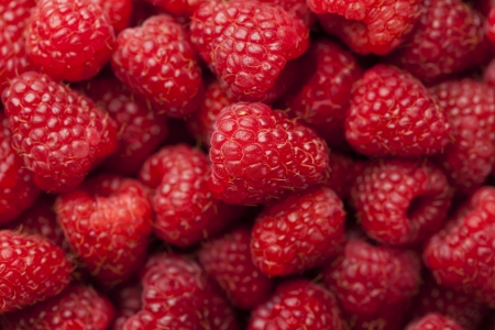 Red ripe fresh raspberry background