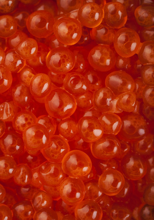 Delicious red salmon caviar macro photoの写真素材