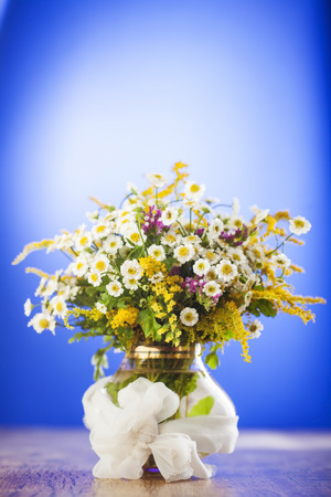 Wildflowers bouquet in glass vase on blue backgroundの写真素材