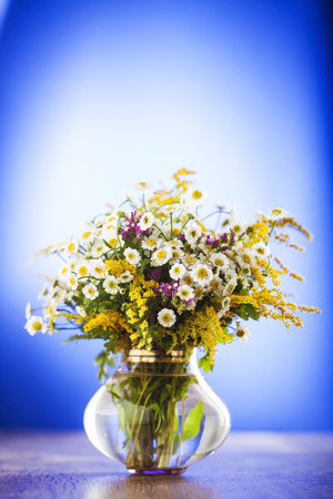 Wildflowers bouquet in glass vase on blue backgroundの写真素材