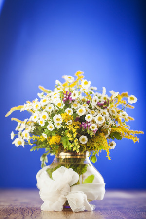 Wildflowers bouquet in glass vase on blue backgroundの写真素材