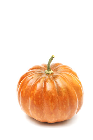 Pumpkin on a white background.の写真素材