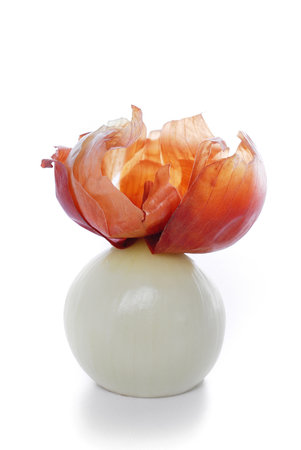 Onion on a white backgroundの写真素材