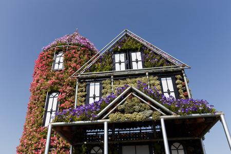 DUBAI, UAE - JANUARY 20: Miracle Garden in Dubai, on January 20, 2014, Dubai, UAE. Beautiful Miracle Garden with 45 million flowers.のeditorial素材