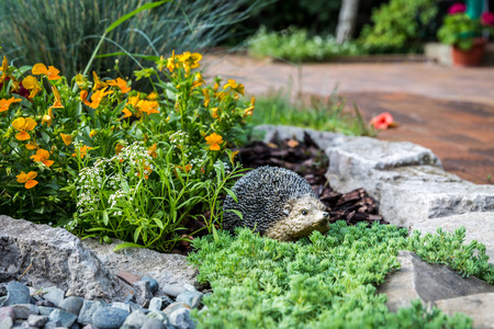 Garden hedgehog lying among beautiful flowers, artificial toyの写真素材