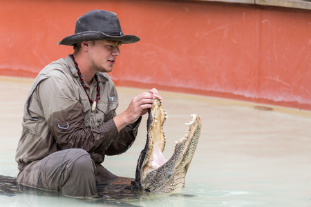 EVERGLADES, FLORIDA, USA - DECEMBER 8, 2016 : Crocodile show  on December 8, 2016 in Everglades park...