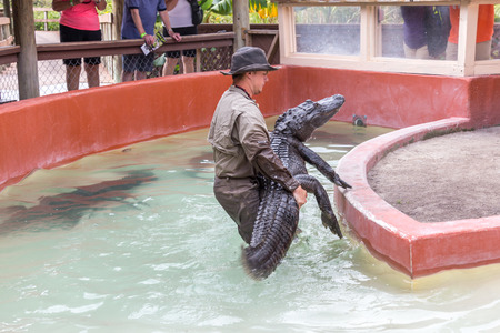 EVERGLADES, FLORIDA, USA - DECEMBER 8, 2016 : Crocodile show  on December 8, 2016 in Everglades park in Florida.のeditorial素材