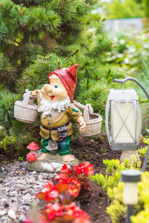 garden dwarf in home garden, nice gnome decorationの写真素材