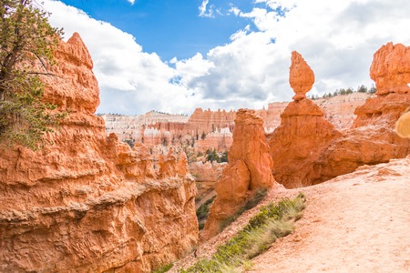 Bryce Canyon National Park at daytime in Utah, USAの写真素材