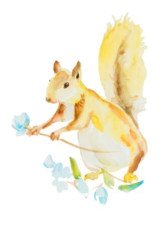 Squirrel with flower isolated on white backgroundの写真素材