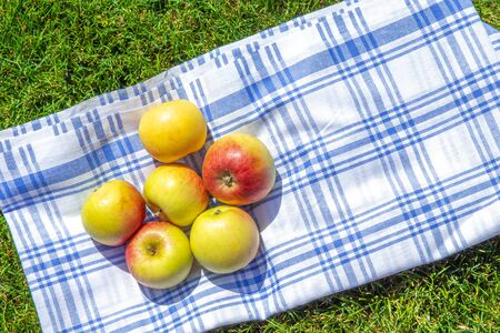 apples on a tablecloth on green grass in parkの写真素材