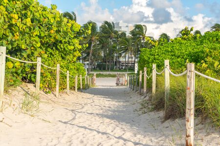 Pathway to the beach in Miami Florida with ocean backgroundの写真素材